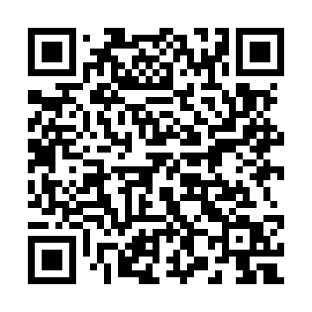 QR code for 289MST