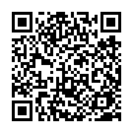 QR code for 290FZE