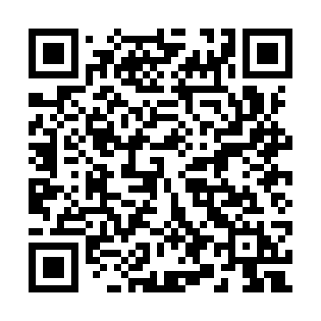 QR code for 290ISH