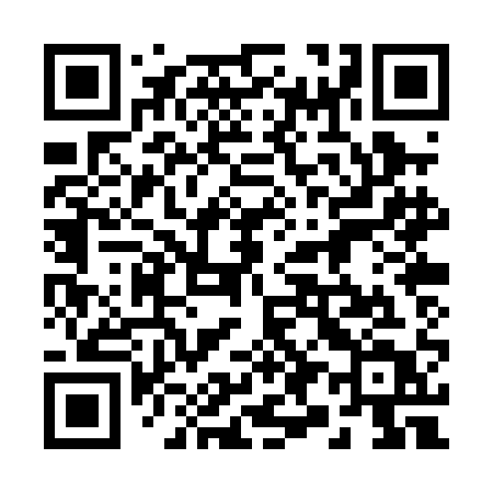 QR code for 290PAT