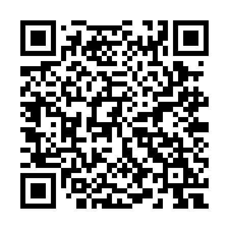 QR code for 290PEM