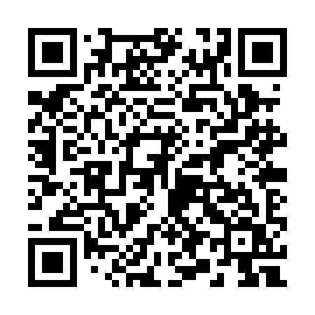 QR code for 290PIV