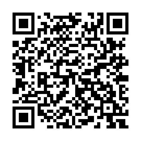 QR code for 290XIG