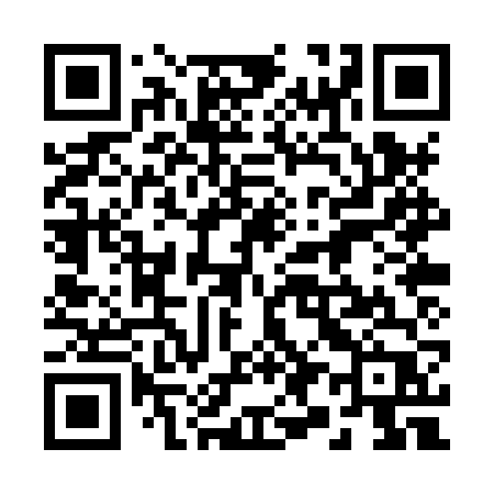 QR code for 290XVP