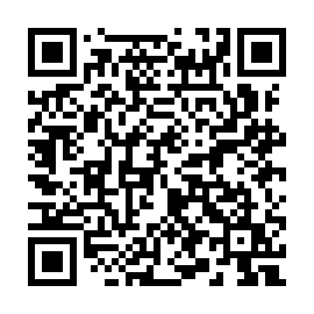 QR code for 291IAU