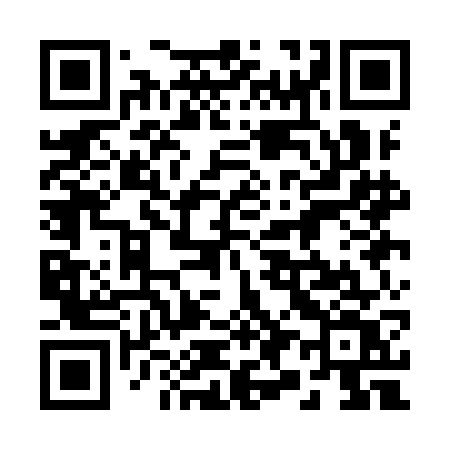 QR code for 291IGV