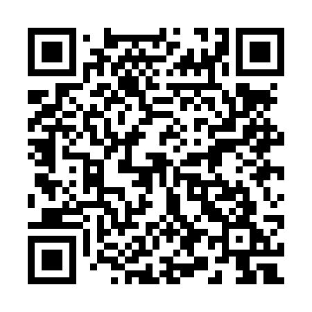 QR code for 291LSG