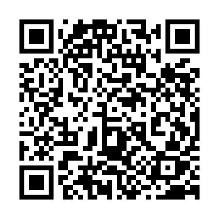 QR code for 291MAZ