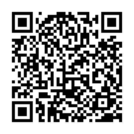QR code for 291OKR