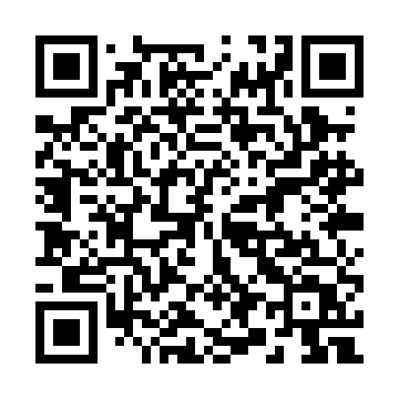 QR code for 291PET