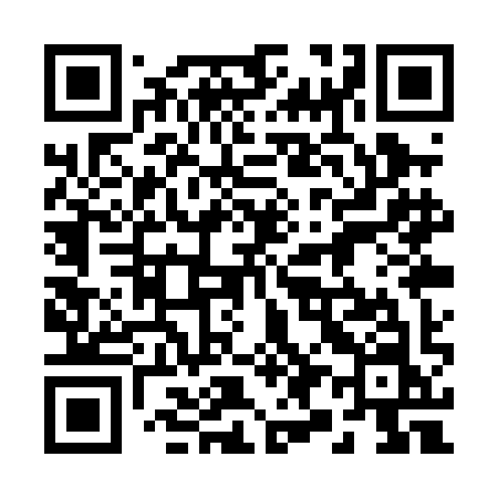 QR code for 291PIN