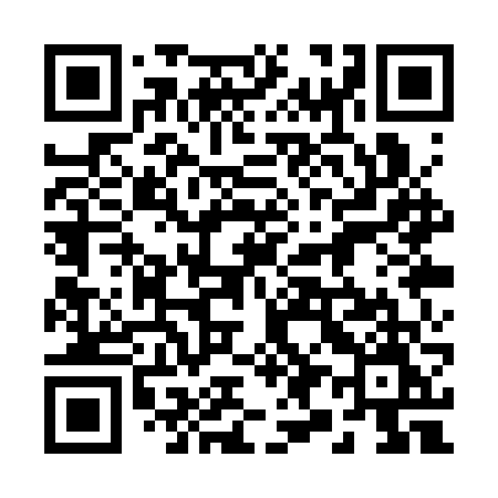 QR code for 291SVM