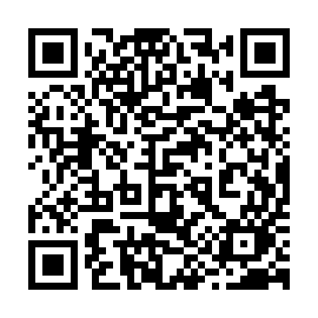 QR code for 291WUO