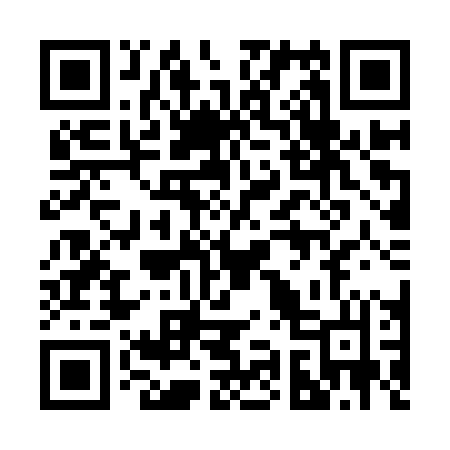 QR code for 291YPL