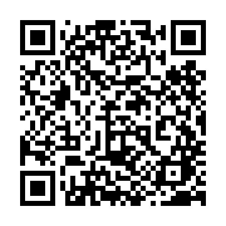 QR code for 293DMC