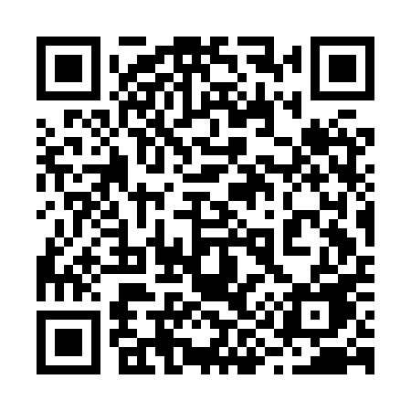 QR code for 293HPE