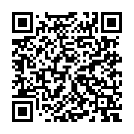 QR code for 293MMP