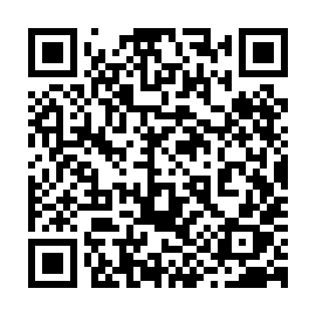 QR code for 293PHX