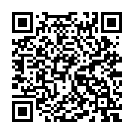 QR code for 293RAN