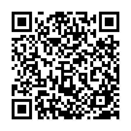 QR code for 294CIG