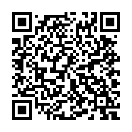 QR code for 294DZM