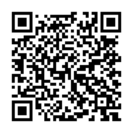 QR code for 294LPV