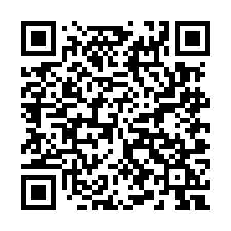 QR code for 294MOG