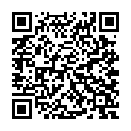 QR code for 294PLV