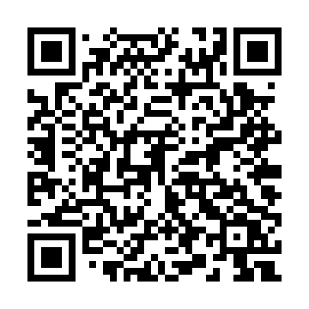 QR code for 294PPV