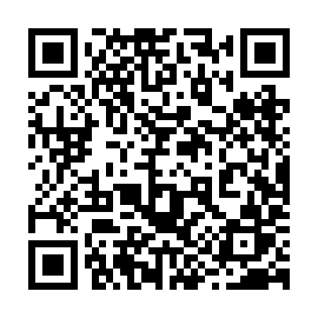 QR code for 294RIR