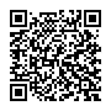 QR code for 295BLF