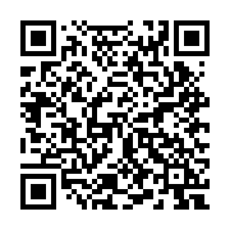 QR code for 295BVI