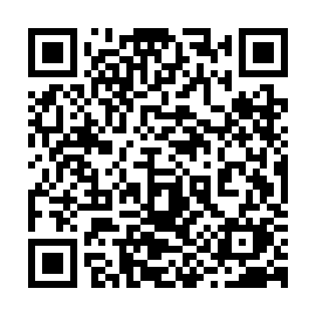 QR code for 295CKM