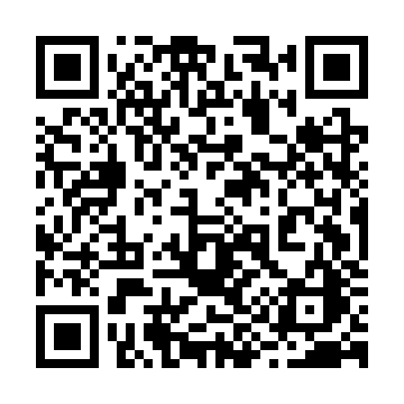 QR code for 295CZC