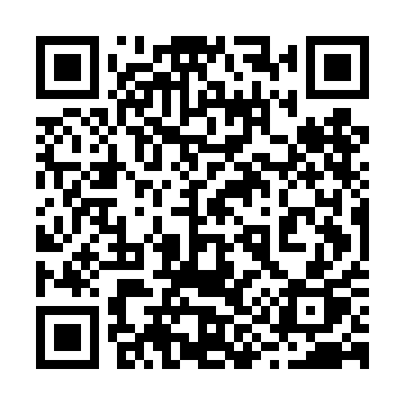 QR code for 295DAP