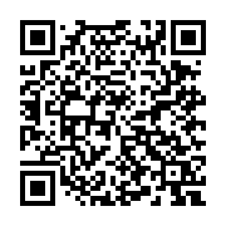QR code for 295DGS