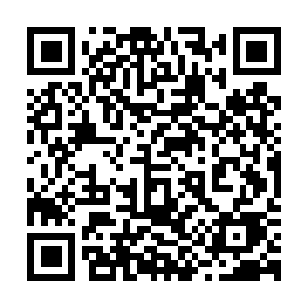QR code for 295DSE