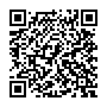 QR code for 295DTK
