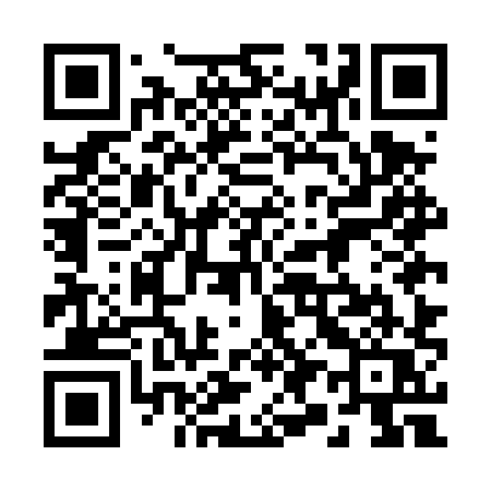 QR code for 295DXQ