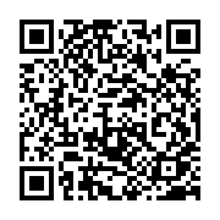 QR code for 295IXQ