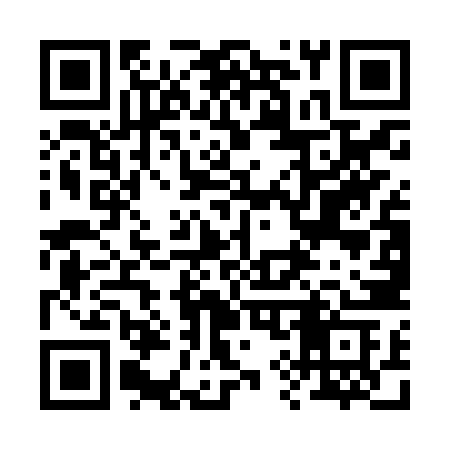 QR code for 295JZC