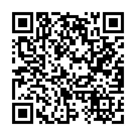 QR code for 295LFF