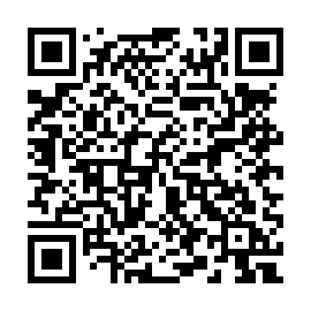 QR code for 295LQC