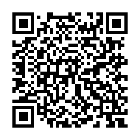QR code for 295MEZ