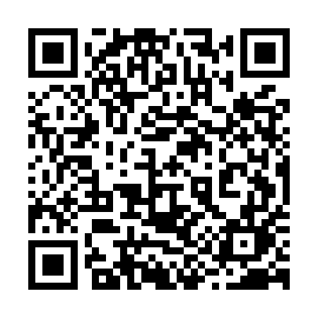 QR code for 295MUL