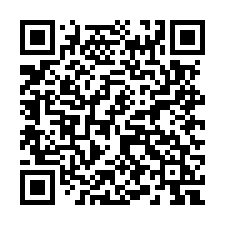 QR code for 295MVJ