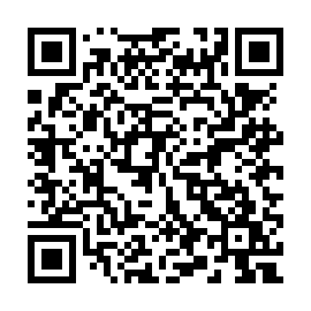 QR code for 295NAW
