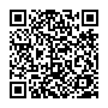 QR code for 295NKE