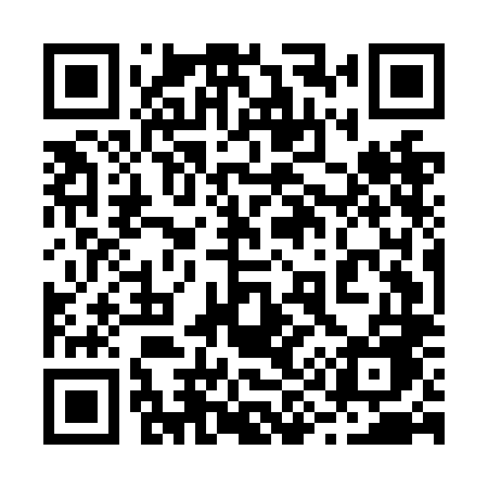 QR code for 295NLE