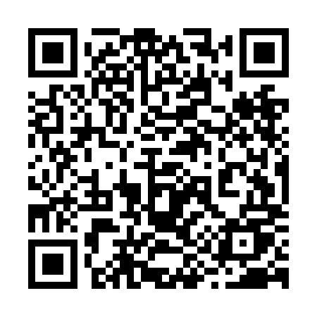 QR code for 295NMU